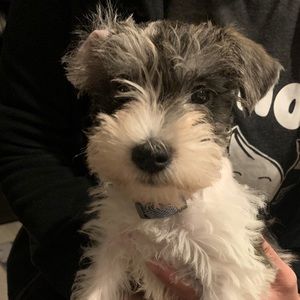 Meet your Posher, Mal